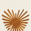 Noir Maia Bobby Pin